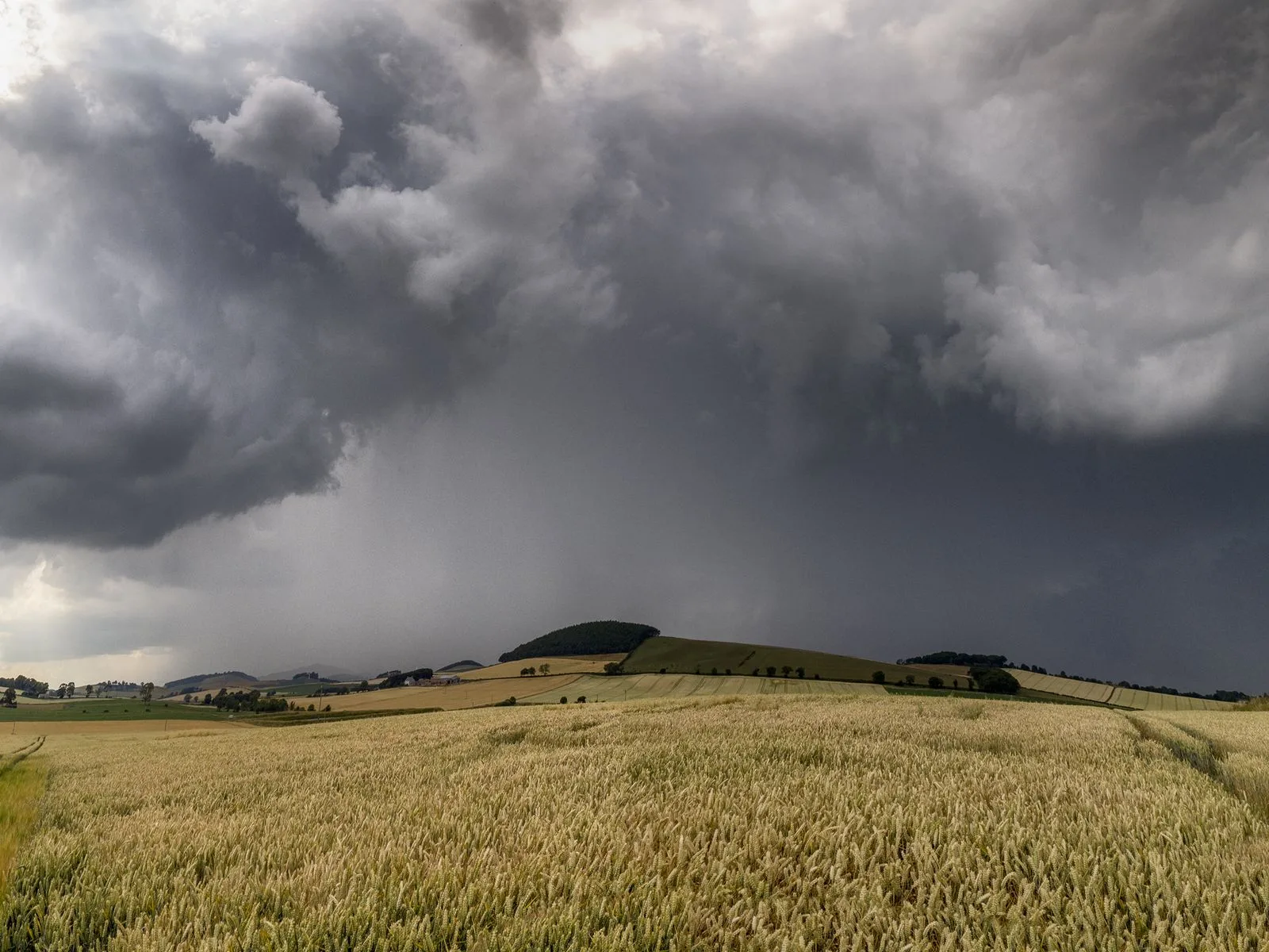 Nubes de tormenta sobre un campo de trigo dorado