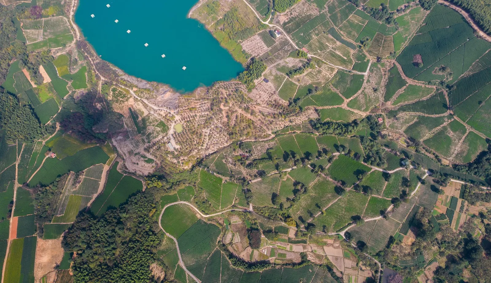 Vista aérea cenital de parcelas de cultivo alrededor de un cuerpo de agua