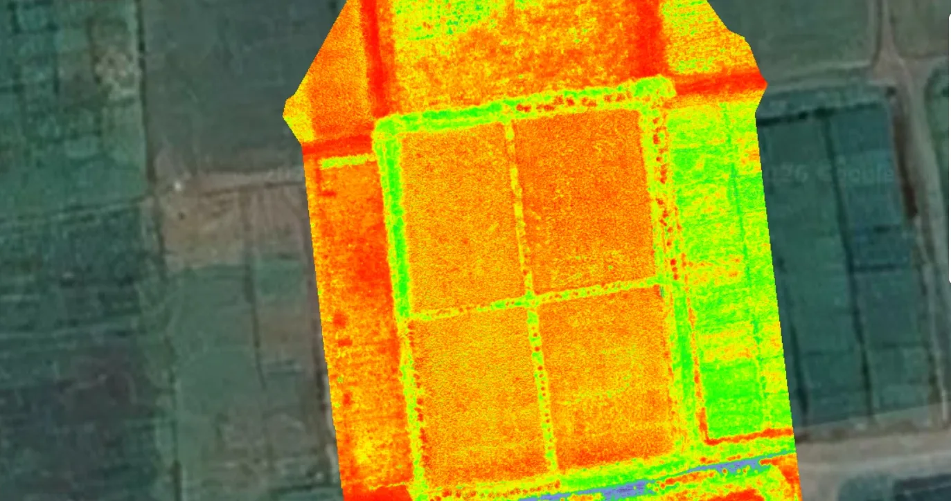 Mapa NDVI del cultivo