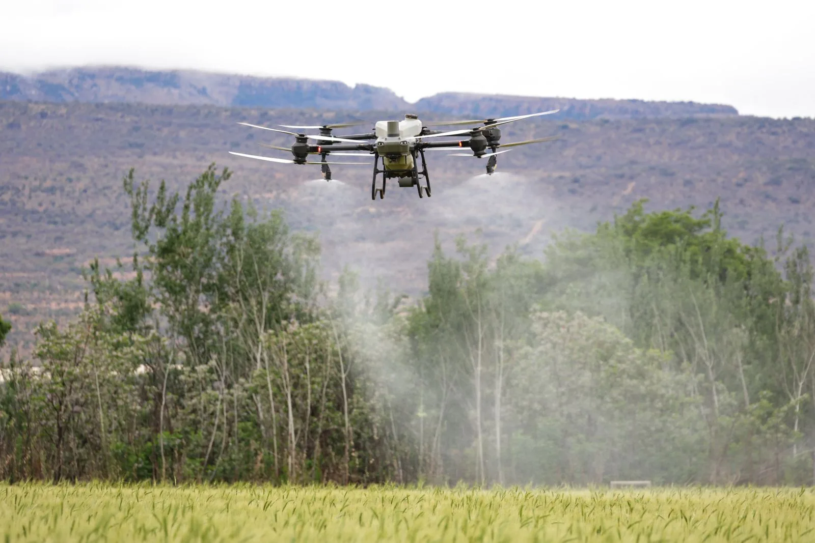 Dron agrícola pulverizando un cultivo con montañas de fondo