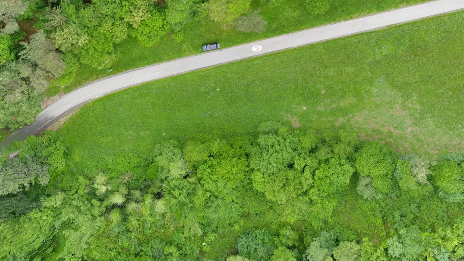 Ortomosaico RGB de un relevamiento con drone